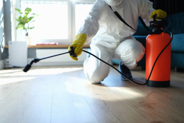 Reliable Drug Lab Cleanup contractor in California City, CA by Trauma Clean Pros